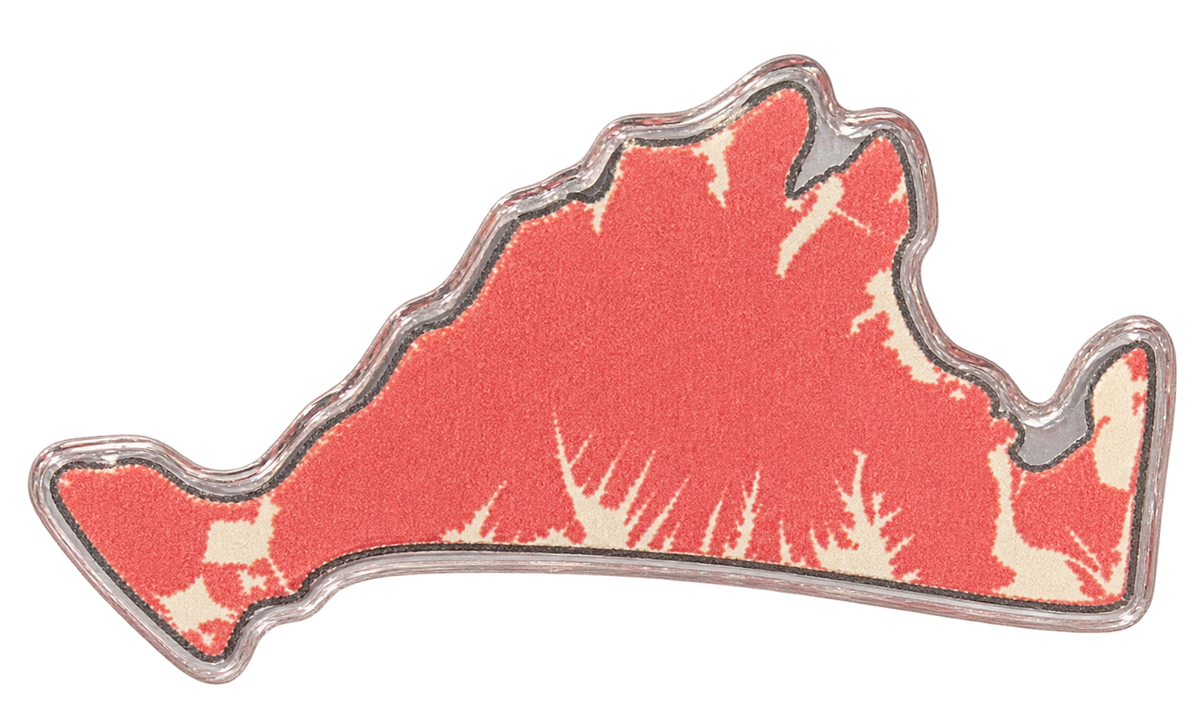 Pink MV Island - Pin