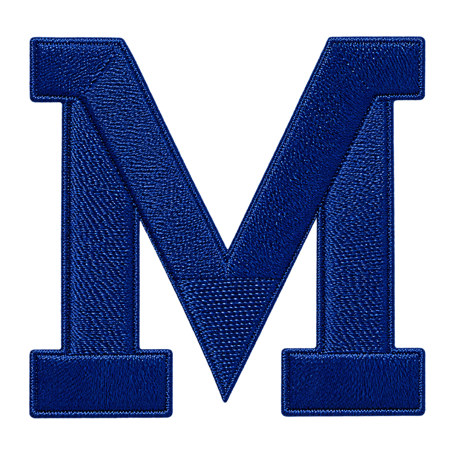 TY Varsity Letter: M