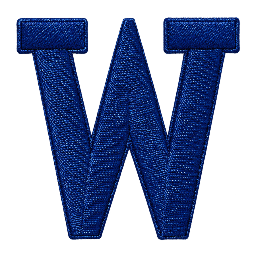 TY Varsity Letter: W